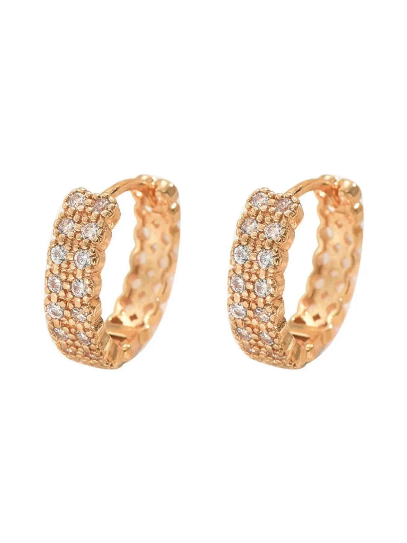 Inland Zircon Hoop Earrings